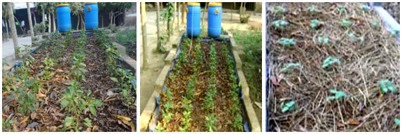 Hydroponic agriculture diagram